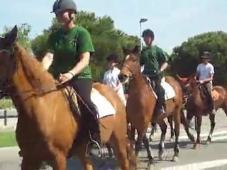 benediction des chevaux a la sabretache