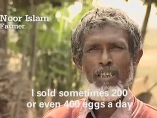 Christian Aid: Superducks