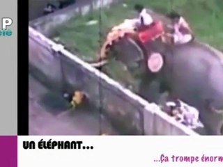 Zapping du net du 15 décembre 2011