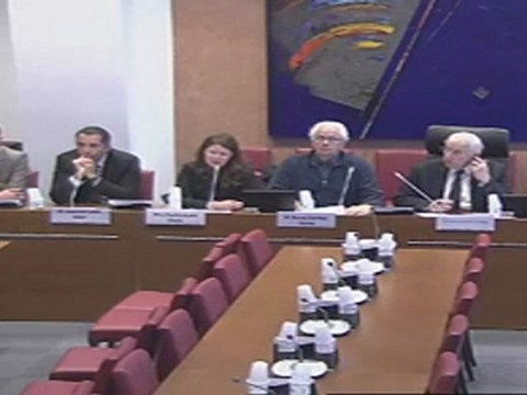 Table ronde IAE à la commission des Affaires sociales de l'Assemblée Nationale