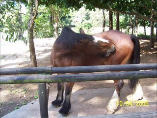 Re: PHOTO COMPETITION TIME! (Last day Midnight (BST) August 17, 2008)