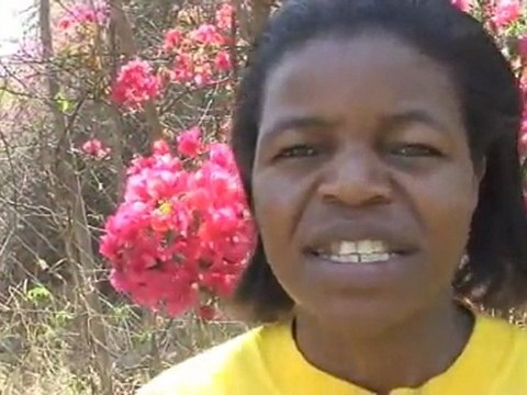 A changing climate worsens poverty in Zimbabwe