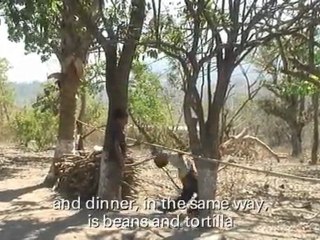 Christian Aid Media Report: Hungry for Justice