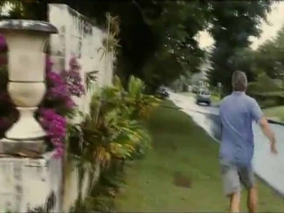 THE DESCENDANTS movie trailer