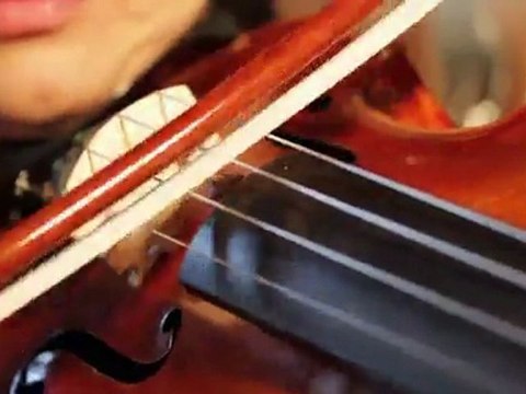 Construcción de Instrumentos y Arcos-Madrid-Fernando Solar, Luthier