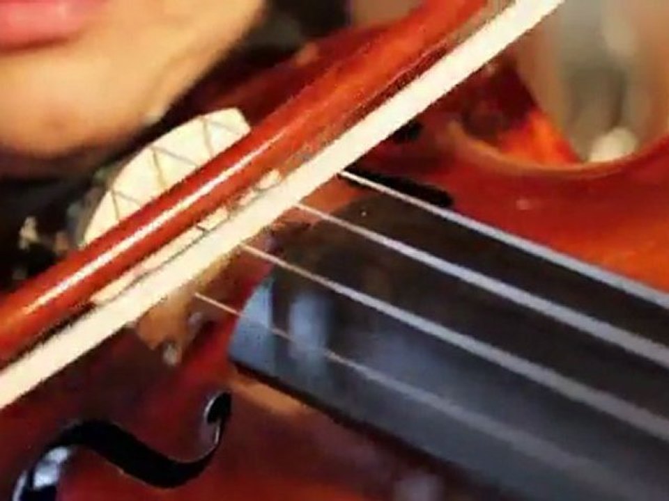 Construcción de Instrumentos y Arcos-Madrid-Fernando Solar, Luthier