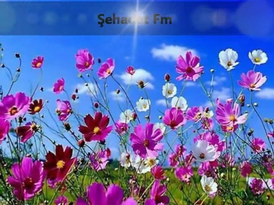 Muhteşem Bir İlahi