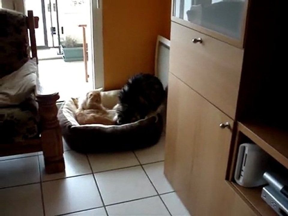 Pas assez de place pour trois