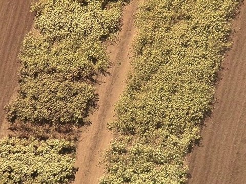 Entre Loire et Océane, Installation monumentale de photographies aériennes du photographe Jérémie Lenoir