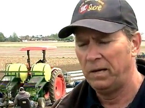 Téléjournal - Les travailleurs agricoles saisonniers