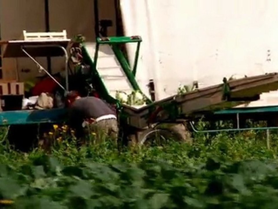 Extrait n°01 - Saint omer entre ville et marais