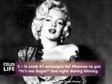 Marilyn Monroe - Top 10 Fun Facts