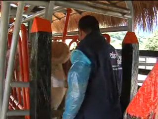 3_JUEVES 15 DICIEMBRE 2011 hda la estrella 2