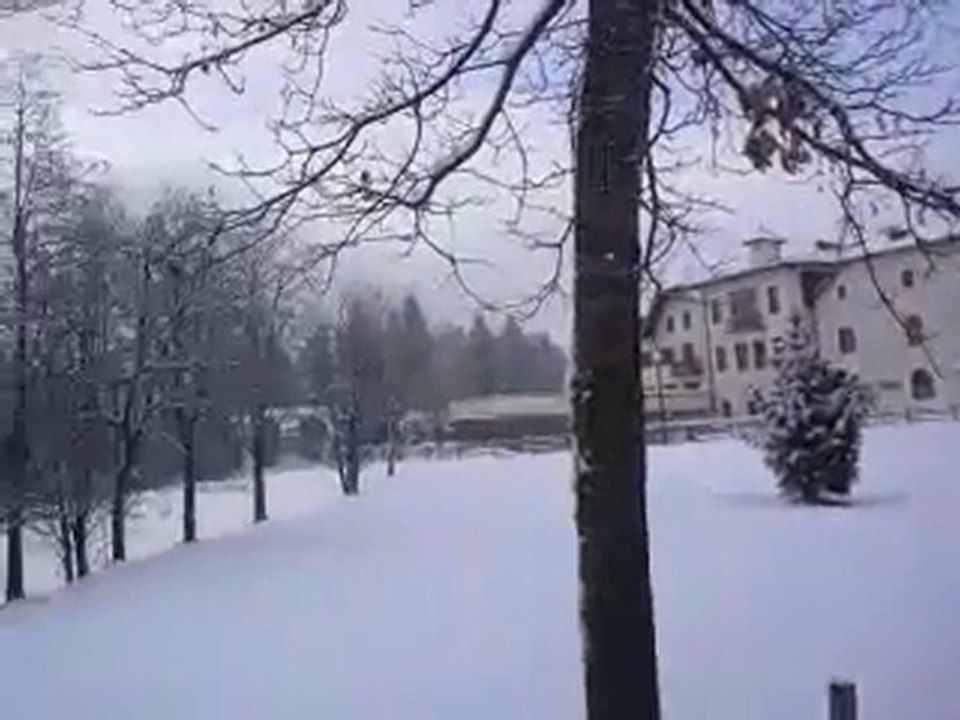 Neve