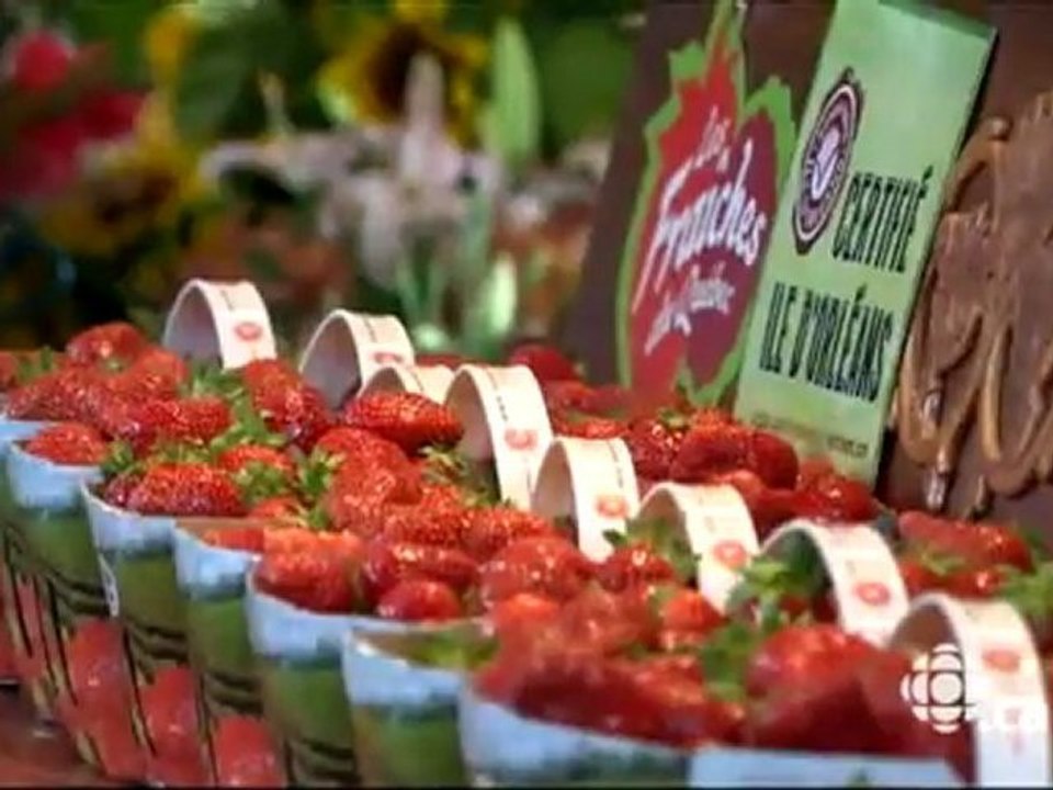 L'épicerie - Les prix du marché