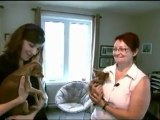Reportage  2011 Un amour de chien  présente le Russkiy Toy