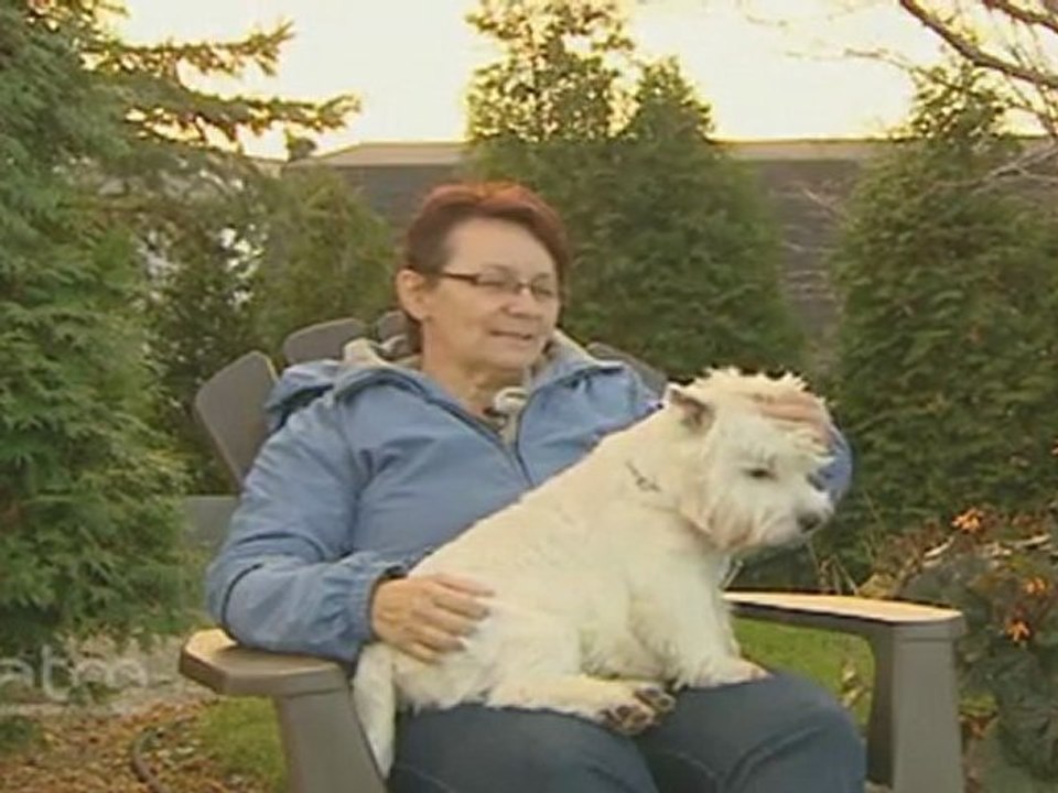 Élevage JoeBerger et Élevage Terreneuvia