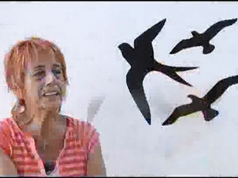 Sizce insan hakları nedir