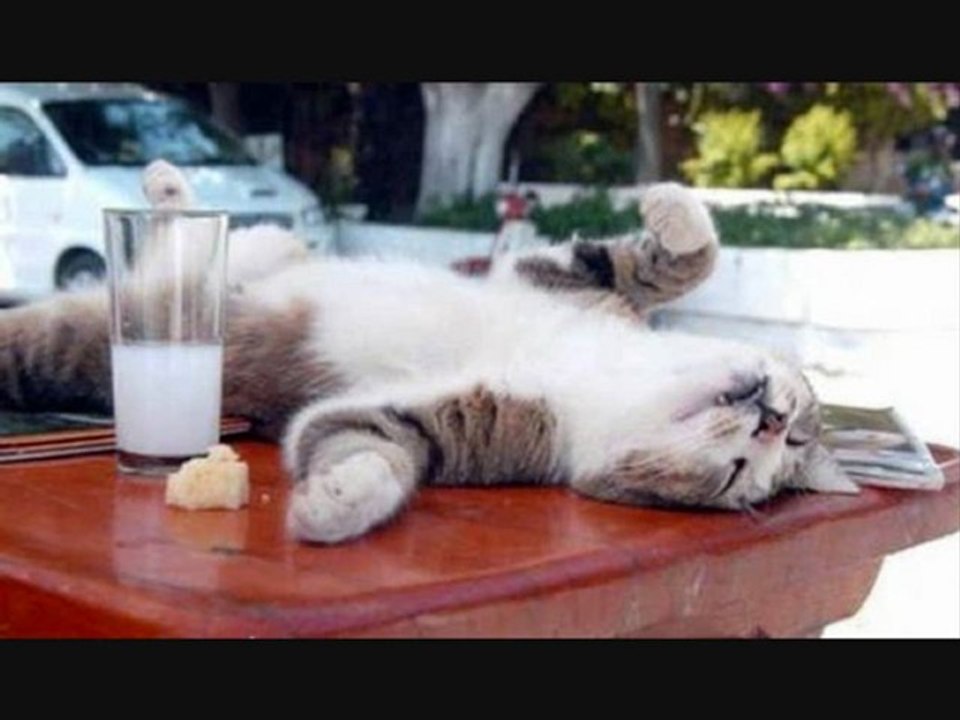 HAYDİ GEL İÇELİM