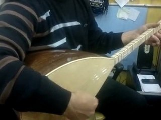 CEVİZ KISA SAP AKGÜRGEN SAP