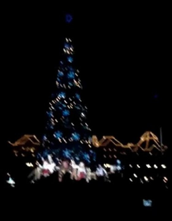 Illumination Sapin Disneyland 2011