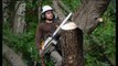 Tree Trimming Service Atlanta | Tree Trimming Company Marietta | Tree Pruning Atlanta