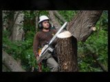 Tree Trimming Service Atlanta | Tree Trimming Company Marietta | Tree Pruning Atlanta