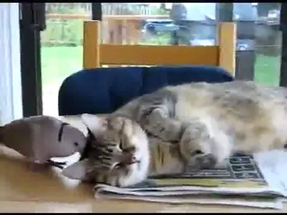 dormir-tranquille