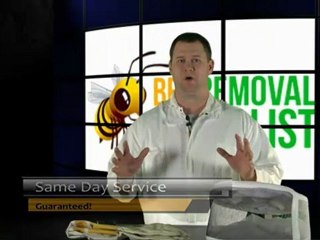 How to Kill Bees