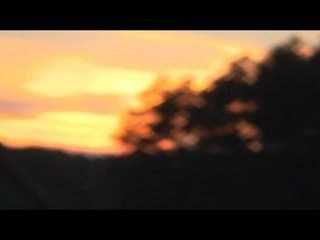 Progressive Skatepark Session with Richard Williams 🛹