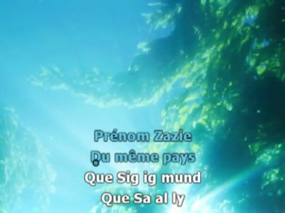 Tout le monde il est beau - Zazie