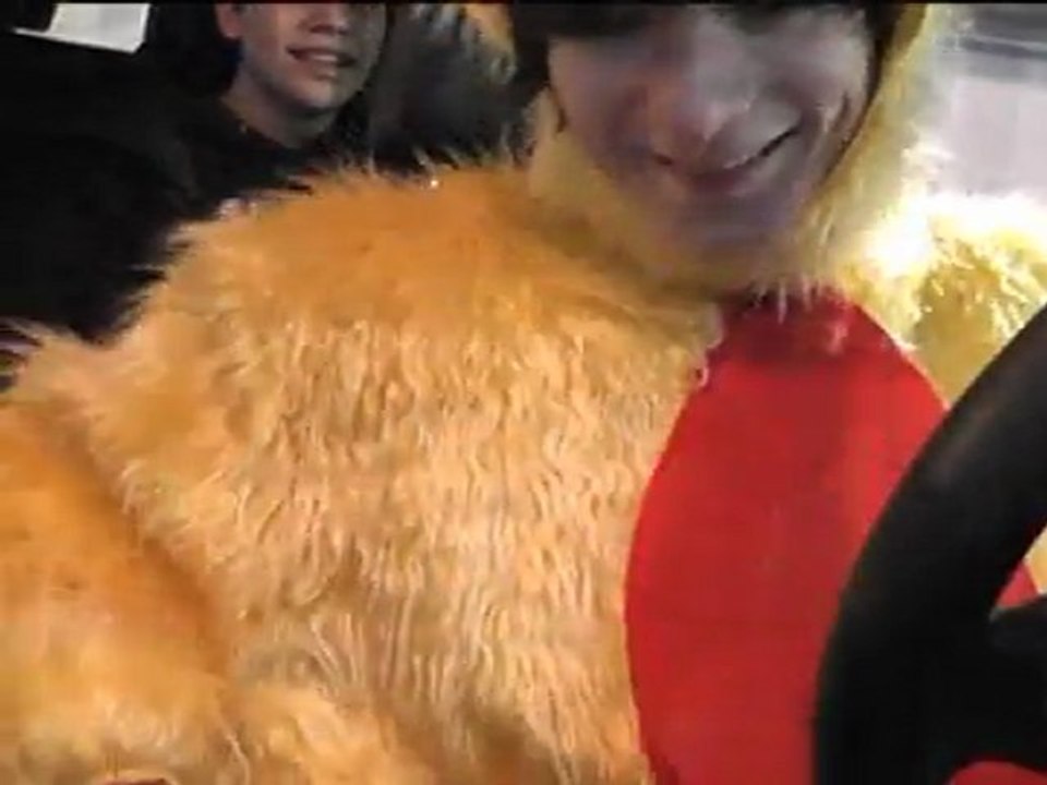 vestido de pollo