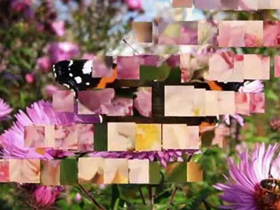 HÜNER COŞKUNER AVUÇLARIMDA HALA SICAKLIĞIN VAR