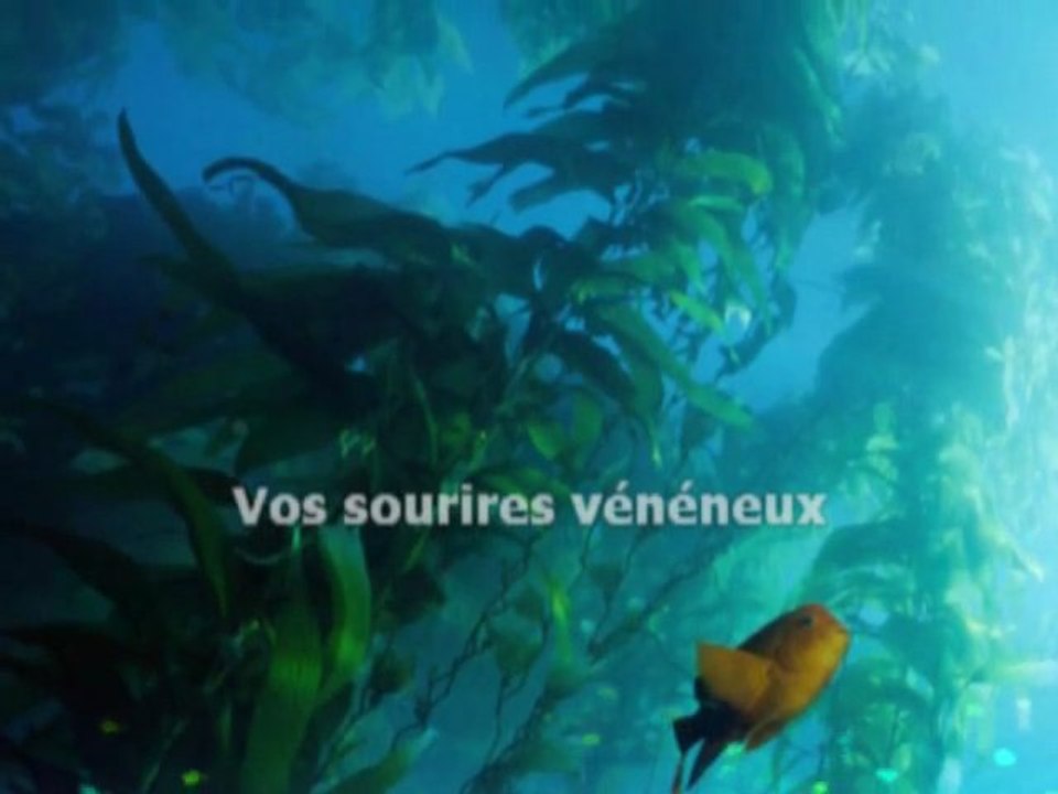 Figures imposées - Julien Doré