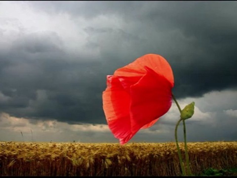 John MacDuff - A Union Which will Last Forever
