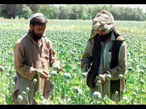 Truth About Bali Bombings Part 1 Introduction