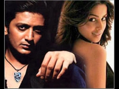 Riteish Deshmukh And Genelia D'souza's Wedding Gets Clearance From Mukesh Ambani!- Bollywood News