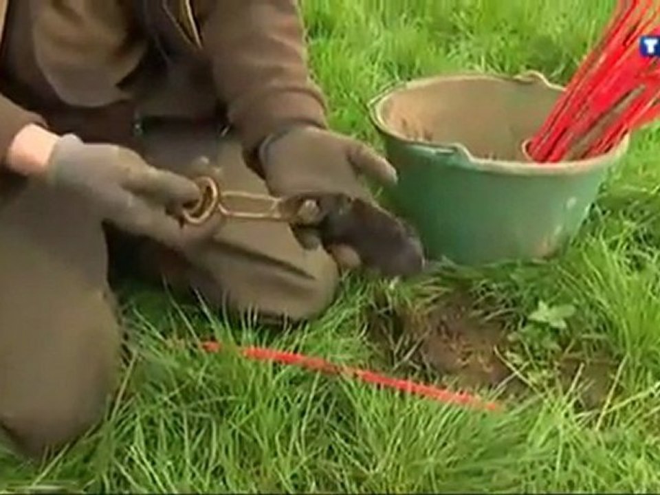 Taupier orne (61) - ERIC DONON - TAUPEGREEN