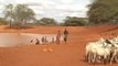 East Africa food crisis appeal: Drought and famine