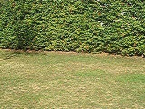 mon velo c le plu bo des velos