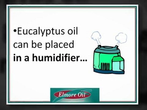 Eucalyptus Oil Benefits: Helps with Pain and Inflammation