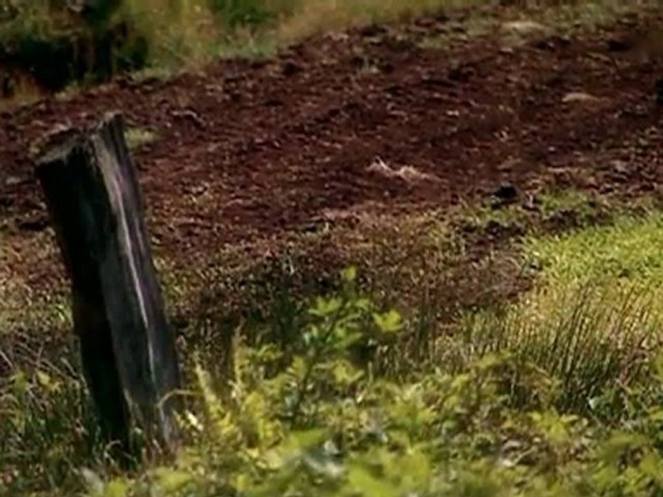 Die Germanen - 1v4 - Germanen gegen Rom