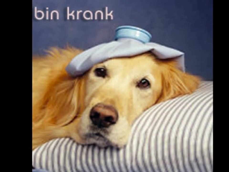 Betreutes wohnen - der maurer