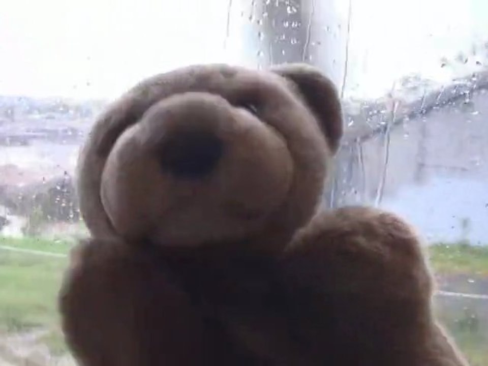 Little Bear On A Train!