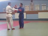 randori ju-jitsu fighting