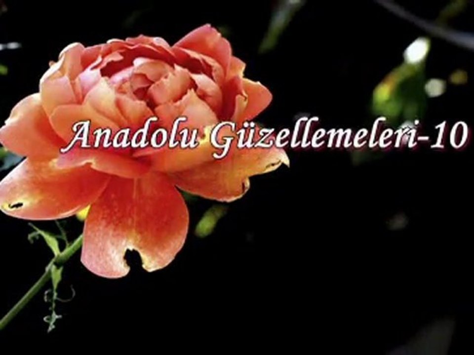 MUHARREM CEMİ..face-show0