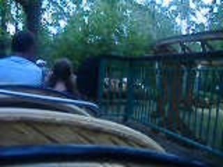 Parc asterix ac ma nonor