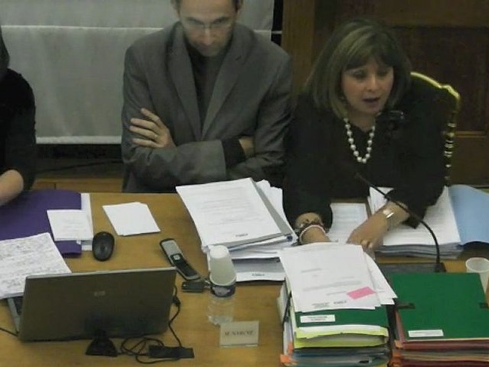 Conseil municipal de Puteaux : sans micro, j'essaye de me faire entendre