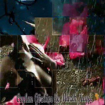 sensiz olamam ayrı kalamam ceylan