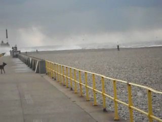 temps a décornnée les boeufs